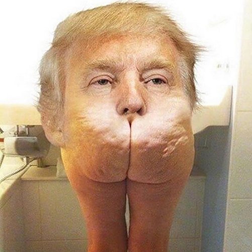 Trump ? Un ass !