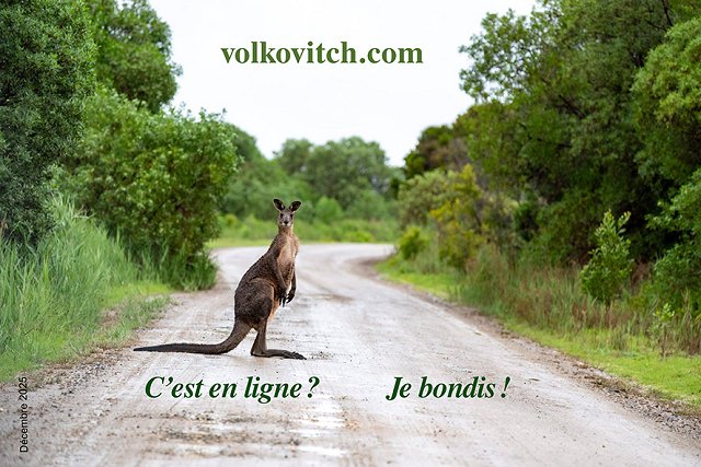 Annonce Décembre 2025