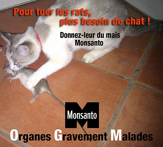 Monsanto 6